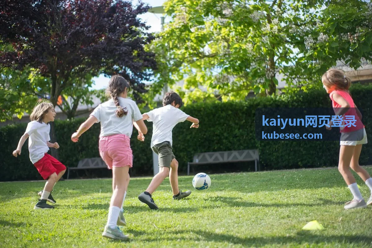 kaiyun网页登录文章配图：网页端账号访问与验证流程示意