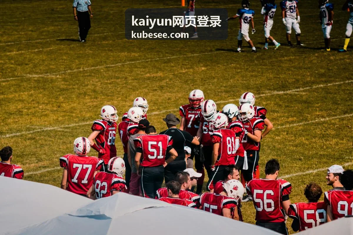 kaiyun网页登录入口地址核对的封面图