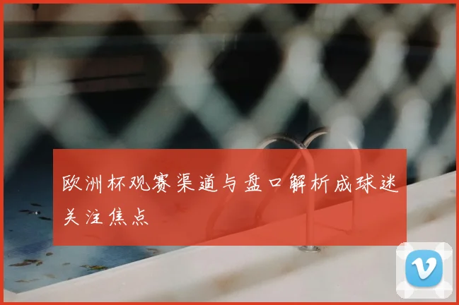 欧洲杯观赛渠道与盘口解析成球迷关注焦点
