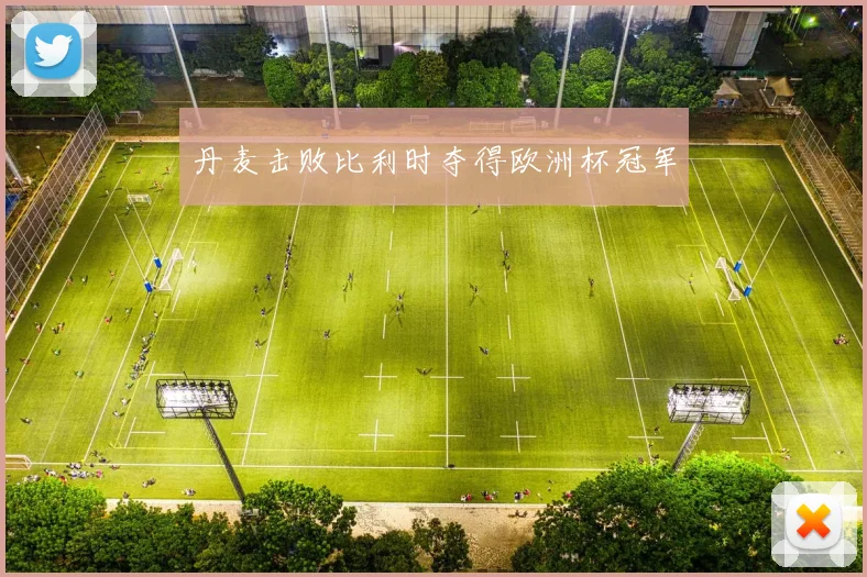 丹麦击败比利时夺得欧洲杯冠军