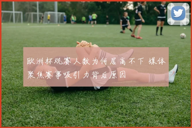 欧洲杯观赛人数为何居高不下 媒体聚焦赛事吸引力背后原因