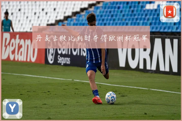 丹麦击败比利时夺得欧洲杯冠军