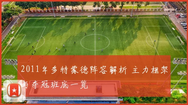 2011年多特蒙德阵容解析 主力框架与夺冠班底一览