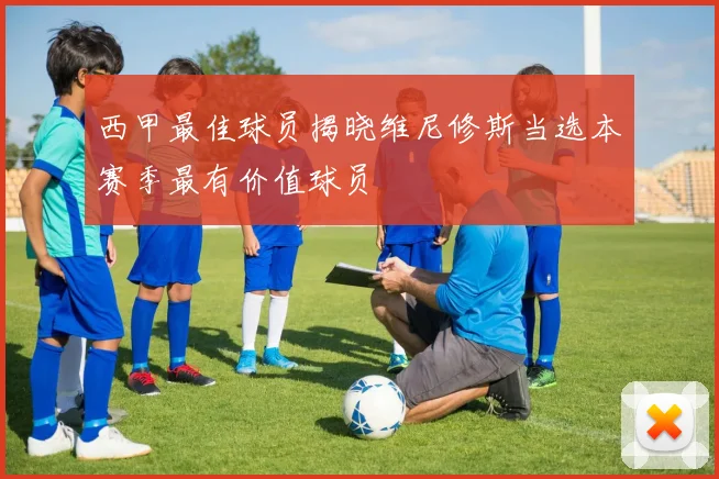 西甲最佳球员揭晓维尼修斯当选本赛季最有价值球员